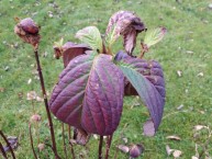 Przykładowe zdjęcie Przykładowe zdjęcie