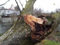 Przykładowe zdjęcie Przykładowe zdjęcie