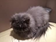 Przykładowe zdjęcie