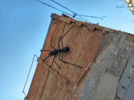 Przykładowe zdjęcie