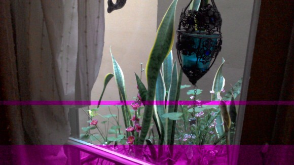 Przykładowe zdjęcie