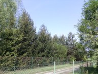 Przykładowe zdjęcie