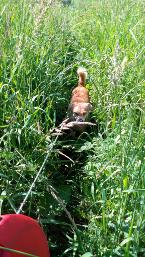 Przykładowe zdjęcie