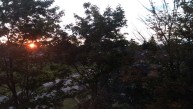 LG G3