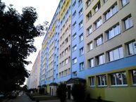 Zdjęcia wykonane telefonem Drive 2