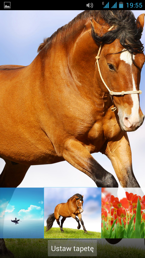 Elementy interfejsu w Goclever Quantum 450