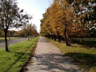 Przykładowe zdjęcia wykonane Moto X