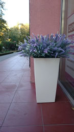 Zdjęcia dzienne z Sony Xperia Z3