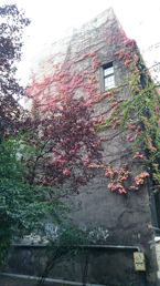 Zdjęcia dzienne z Sony Xperia Z3