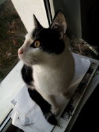 Przykładowe zdjęcia Przykładowe zdjęcia