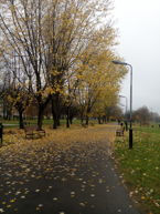 Przykładowe zdjęcia Przykładowe zdjęcia