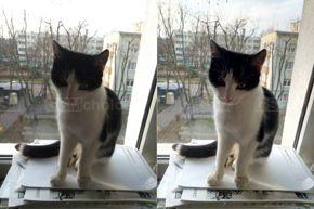 Zdjęcia z retuszem twarzy i HDR Zdjęcia z retuszem twarzy i HDR