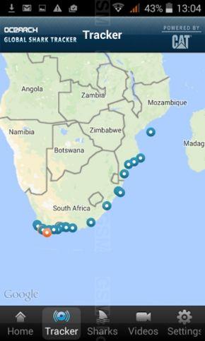 Shark Tracker