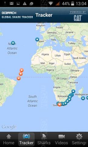 Shark Tracker