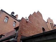 Kilka przykładowych zdjęć