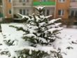 Tryb Rozmycie soczewkowe