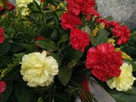 Oppo R5 - różne typy ekspozycji, wystarczy dotknąć palcem