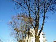 Przykładowe zdjęcia