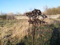 Przykładowe zdjęcia