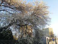 Przykładowe zdjęcia