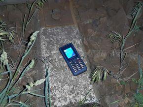 Overmax Vertis 1810 Kern
