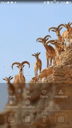 Ekran blokady, menu, jego edycja i folder