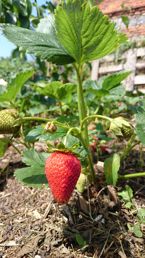 Przykładowe zdjęcia Przykładowe zdjęcia