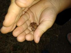 Kilka przykładowych fotek Kilka przykładowych fotek