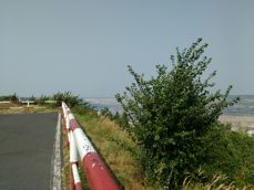 Kilka przykładowych fotek Kilka przykładowych fotek