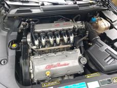 Kilka przykładowych fotek Kilka przykładowych fotek