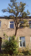 Przykładowe zdjęcia