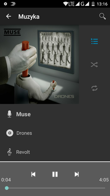 Ustawienia dźwięku, Muzyka, Radio FM