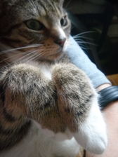 Przykładowe zdjecia Przykładowe zdjecia