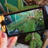 Alcatel OneTouch Go Play