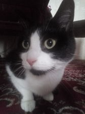 Przykładowe zdjęcia z frontowego aparatu