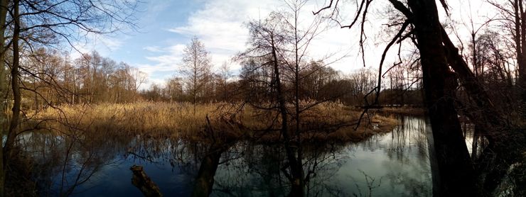 Panoramy