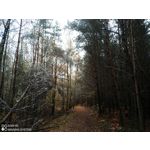 ZDJĘCIA Z TEGO TELEFONU