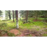 Zdjęcia użytkowników AGM H5 Pro