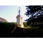 Zdjęcia użytkowników Alcatel 2005D