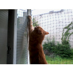 Zdjęcia użytkowników Alcatel 2005D