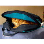 Zdjęcia użytkowników Alcatel 2005D