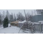 ZDJĘCIA Z TEGO TELEFONU