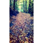 Zdjęcia użytkowników Alcatel One Touch Idol 2S Zdjęcia użytkowników Alcatel One Touch Idol 2S