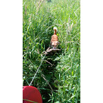 ZDJĘCIA Z TEGO TELEFONU