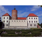 Zdjęcia użytkowników Alcatel One Touch Idol