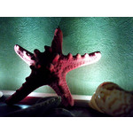 Zdjęcia użytkowników Alcatel One Touch Idol