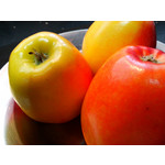 Zdjęcia użytkowników Alcatel One Touch Idol