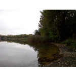 Zdjęcia użytkowników Alcatel One Touch Idol