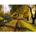 Zdjęcia użytkowników Alcatel One Touch Idol