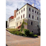 Zdjęcia użytkowników Alcatel One Touch Idol